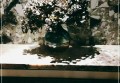 饭店招聘文案幽默句子（趣味横溢的餐厅招贤纳士文案，让笑声与美食同飞！）